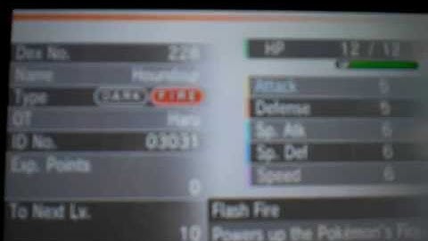 Shiny Houndour in Pokemon Y (Masuda method after 994 eggs)