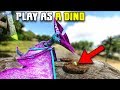 THE PTERANODON NESTS | PLAY AS A DINO | ARK SURVIVAL EVOLVED