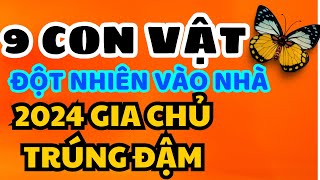 9 Con Vật Đột Nhiên Chạy Vào Nhà Báo Hiệu 2024 Gia Chủ Giàu To Tiền Chất Đầy Két  Đến Tủ