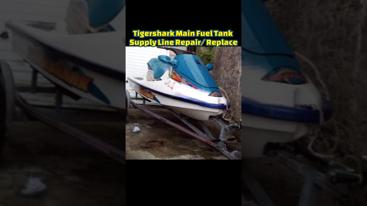 Unveiling the Demise of the Tiger Shark Jet Ski Brand - Stealth