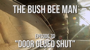 Building a Top Bar Bee Hive Using a Fridge (Part 5 of 5) - Episode 70: "Door Glued Shut"