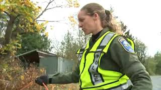 Rescue dog is WDFW's 1st K9 detection officer
