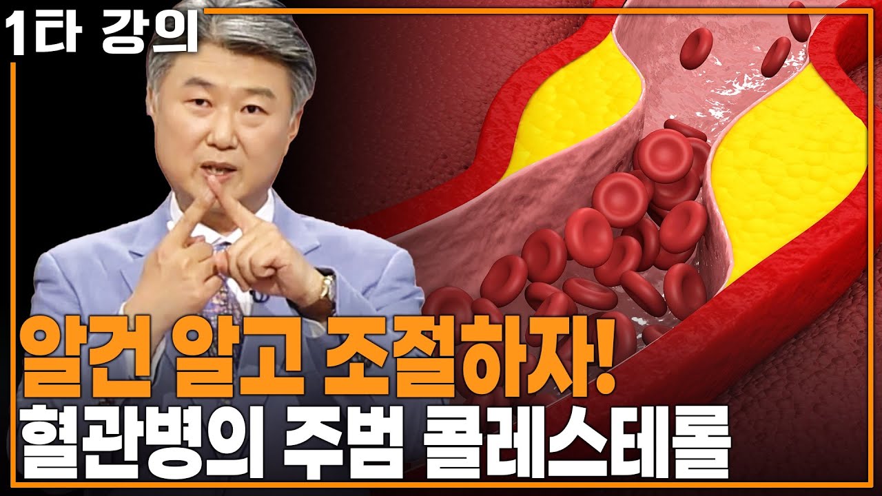 [조홍근 콜레스테롤✨특강] 견과류도 과하게 먹으면 콜레스테롤이랑 관련이 있다?? | KBS 20111103 방송