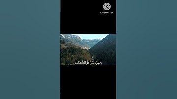 خواتيم سورة النمل للقارئ عبد الرحمن مسعد