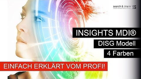 Potenzialanalyse - Insights MDI - DISG - 4 Farben Modell in der Praxis & einfach erklärt!