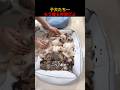子犬たち〜もう寝る時間だよ