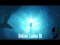 Didine Canon 16 MONIKA