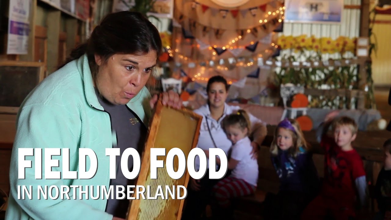 Field to Food in Northumberland YouTube