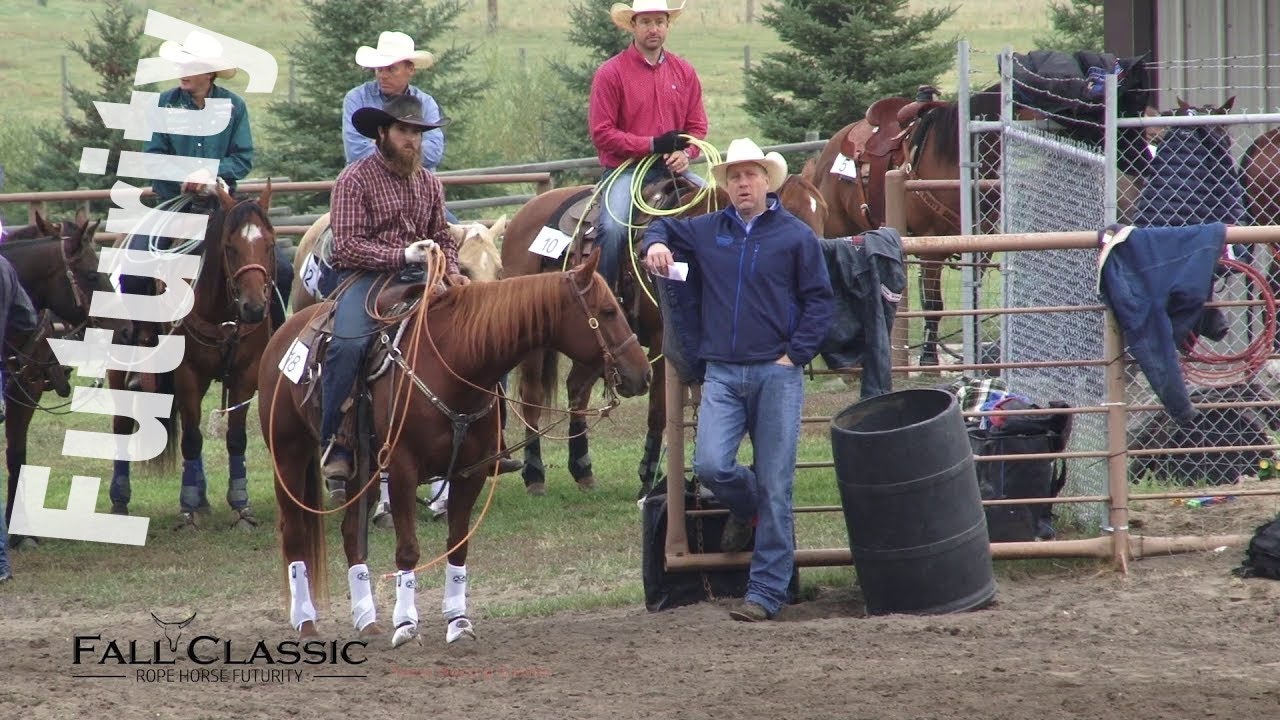 Team Roping Basics