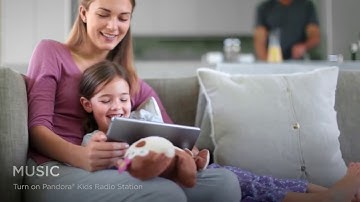 Savant Video Introduction