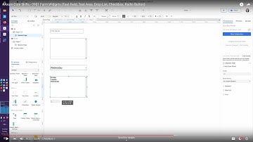 #Axure Core Skills - 0901 Form Widgets (Text Field, Text Area, Drop List, Checkbox, Radio Button)