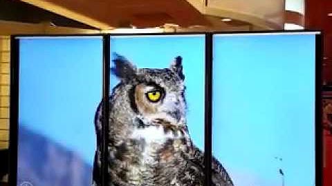 HDMI 2.0 Multiview Processor Video