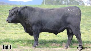 Lot 01 Crawford BGR24V627
