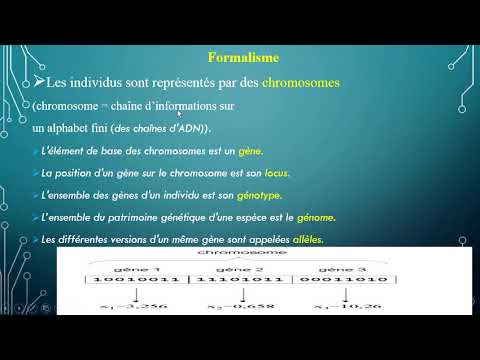 Vidéo: Que sont les chromosomes dans l'algorithme génétique?