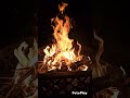 campfire. #fire #slowmotion #mesmerizing #camping #captivatingbeauty #free