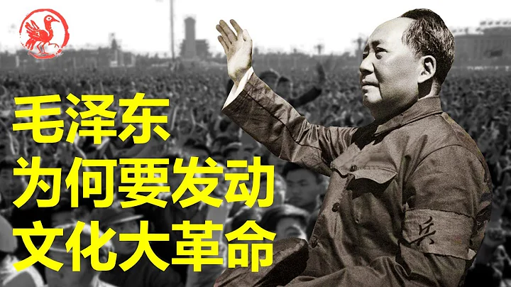 毛泽东为什么要发动文化大革命？ - 天天要闻