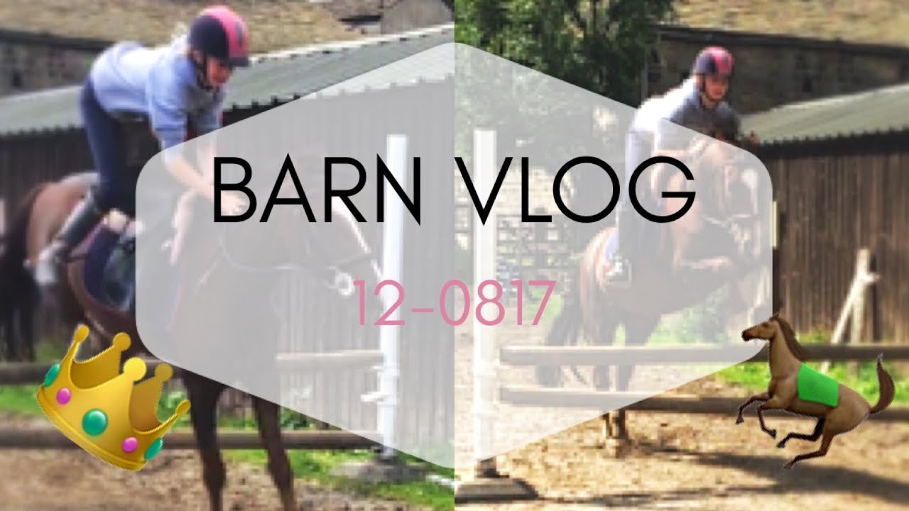 BARN VLOG! - YouTube
