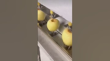 Apple Peeling
