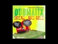 Dubmatix: Renegade Rocker Dub