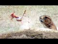 Prairie Dog Hunting Armageddon! Tannerite Explosion - Beyond the Grid