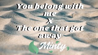 Taylor Swift - You Belong With Me X The one that got away (Adamusic Mashup)