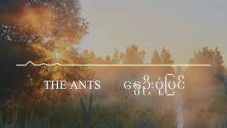 နွေဦးပုံပြင် - The ants