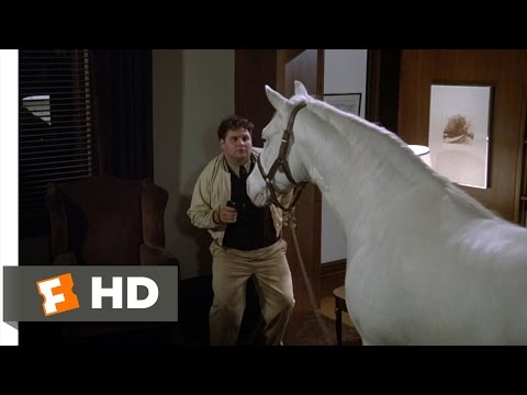 Flounder Gets Even Scene - Animal House Movie (197...