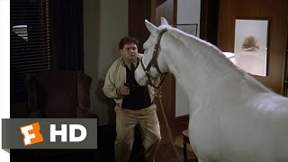 Flounder Gets Even - Animal House (4/10) Movie CLIP (1978) HD