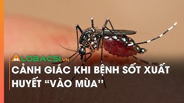 Cảnh giác khi bệnh sốt xuất huyết 