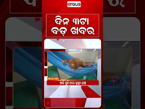 3PM Headlines | 16 Sept 2026 | Today’s Top News Updates | Odisha Latest News | Argus News