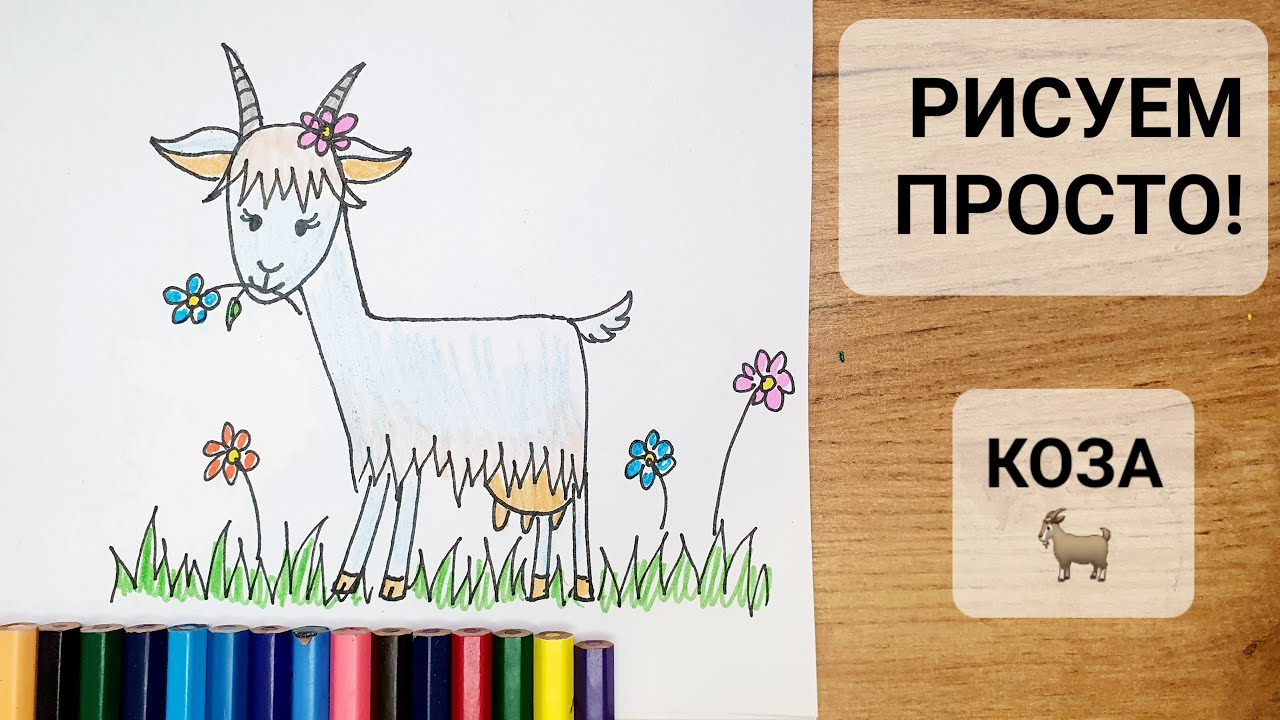 Как нарисовать КОЗУ? ПРОСТО с Нарисуй-ка! - YouTube