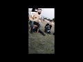 اوعى تنساني تيم حسن بشار منلا 