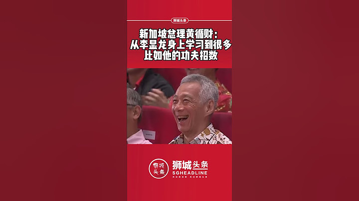狮城头条：新加坡总理黄循财：从李显龙身上学习到很多比如他的功夫招数#狮城头条 #新加坡 #李显龙 #黄循财 #功夫