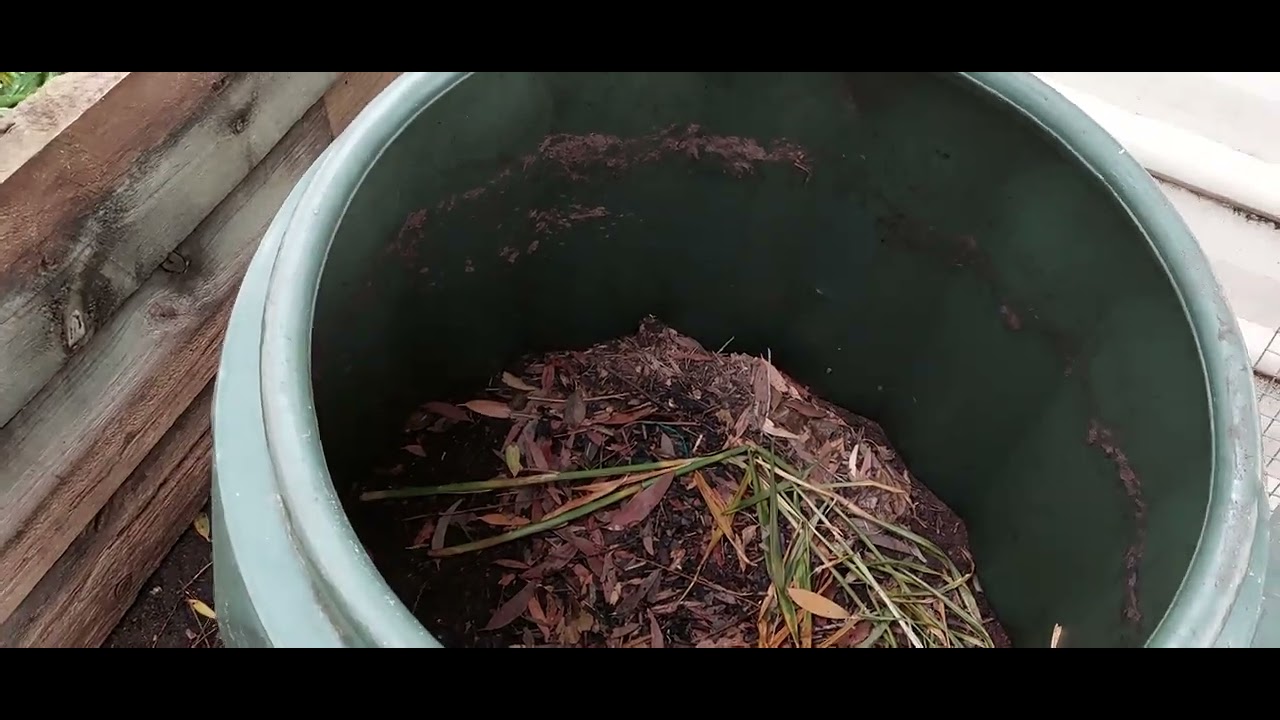 compost bins YouTube