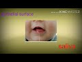Human health disease