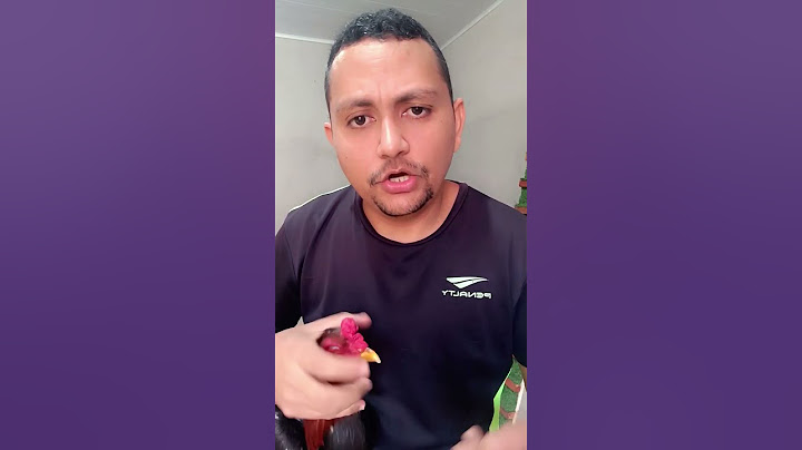 Uma vitamina antes da apresentação. #galo #galoscombatentes #galomura