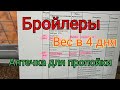 Бройлеры. Вес бройлера в 4 дня.  Пропойка цыплят ( аптечка для бройлера )