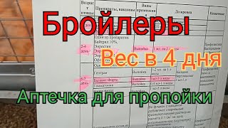 Бройлеры. Вес бройлера в 4 дня.  Пропойка цыплят ( аптечка для бройлера )