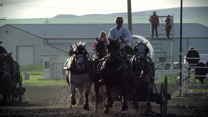 Mark Sutherland - Retirement of a Chuckwagon Horse