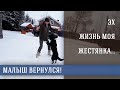 Пес Малыш. Поцелуй меня удача