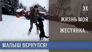Пес Малыш. Поцелуй меня удача