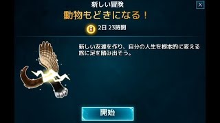 ハリーポッター 159動物もどきになる ホグワーツの謎 ゲーム実況 Youtube