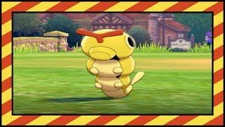 [LIVE] Shiny Caterpie after 55 Random Encounters in Pokemon Sword!