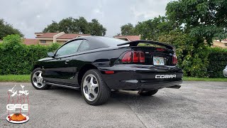 1997 Ford Mustang SVT Cobra. The baby Terminator Cobra!