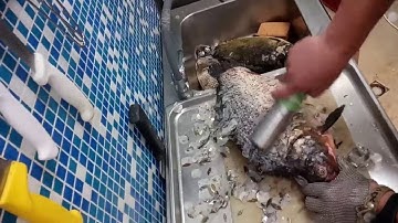 Electric Fish Scaler test