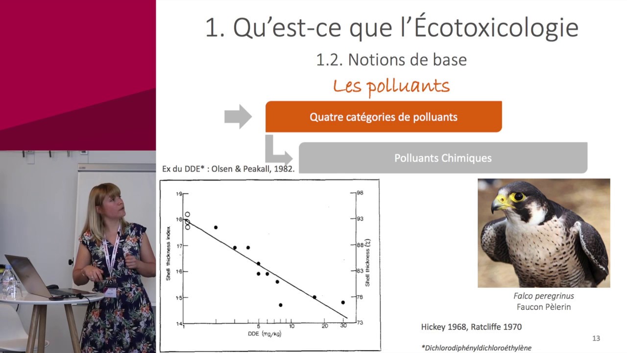 RISQUE CHIMIQUE - Notions de base en écotoxicologie