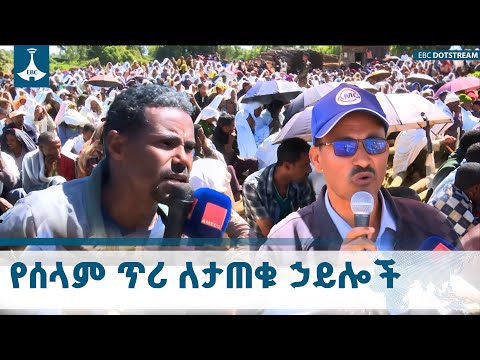 በምስራቅ ጎጃም ዞን የሰላም ውይይት ለታጠቁ ኃይሎች የቀረበ የሰላም ጥሪ ETV EBC EBCDOTSTREAM