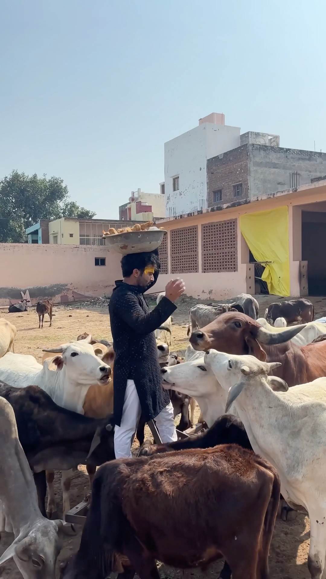 माता तेरा मेरा रिश्ता हो तो ऐसा ?❤️? #humanity #respect #helping #shorts #trending #youtubeshorts
