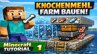 EINFACHE Knochenmehl-Farm! (AFK Fisch + Knochen) | Minecraft Tutorial #1