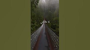 #foryou #اكسبلور #قرآن #قران_كريم #تلاوة_خاشعة #بدر_المشاري #موعظة